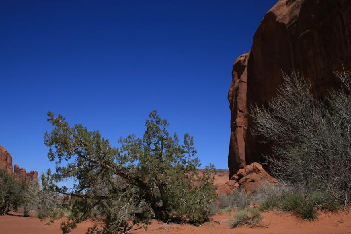 8-Monument valley 0039.JPG